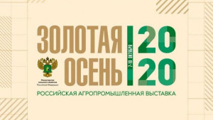 Развитие региональных брендов продуктов питания обсудили на «Золотой осени- 2020»