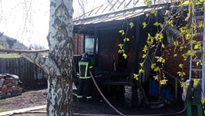 В селе Талицкий Чалмык Липецкой области пожарные спасли от огня дом