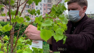 Александр Афанасьев высадил «Деревья Победы» под окнами ветерана Великой Отечественной войны