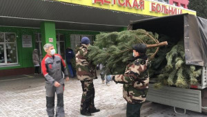 В детской больнице поставят новогодние елки 