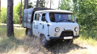 В Липецкой области введено ограничение на посещение лесов