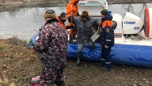 Четверых рыбаков сняли с льдины под Липецком