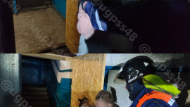 Липецкие спасатели вытащили кота из вентиляционной шахты