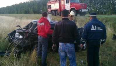 В Данковском районе автомобиль слетел с дороги