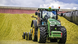 В Липецкой области завершается заготовка грубых и сочных кормов на зиму