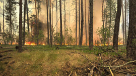 В Усманском районе пожары продолжаются на отдельных участках 