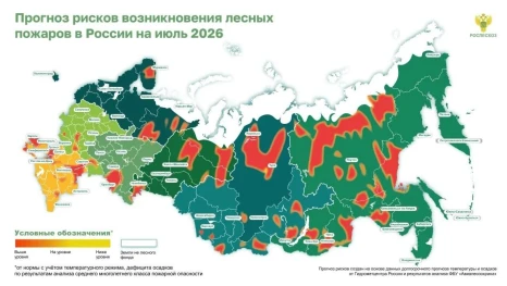 Продлено ограничение на посещение лесов