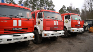 Пенсионер пострадал во время пожара в Тербунском округе