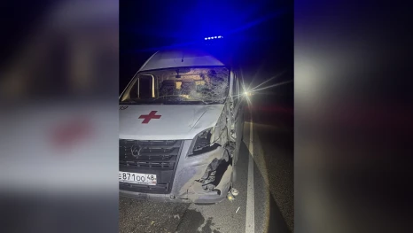 Автомобиль скорой столкнулся с лосем на Елецкой трассе