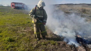 С 15 по 16 апреля на территории Липецкой области сухая трава горела 54 раза