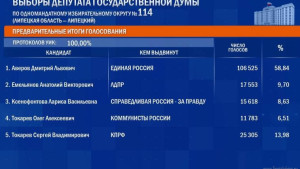 После обработки 100% протоколов УИК на выборах в депутаты Госдумы лидирует Дмитрий Аверов с почти что 59% голосов