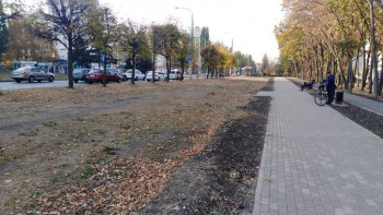 В сквере на улице Водопьянова посадят деревья