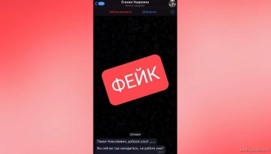 Аферисты создали фейковый канал мэра Липецка Евгении Уваркиной