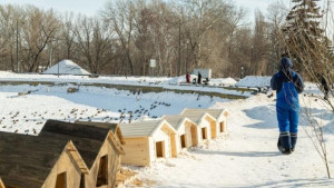 На Комсомольском пруду появились домики для уток