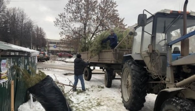 Экоакция "Подари елке вторую жизнь" прошла в Липецке (видео)