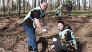 Тысячу маленьких березок посадили в Добровском округе 