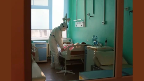 В Липецке зафиксировали три случая малярии у приезжих из Африки