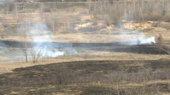 200 возгораний сухой травы потушили пожарные в Липецком регионе за неделю