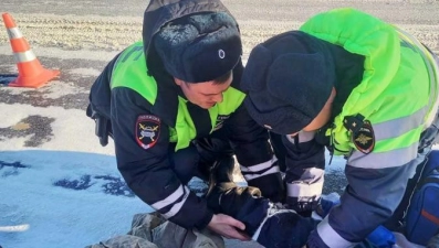 Усманские автоинспекторы на месте ДТП оказали экстренную помощь пострадавшему