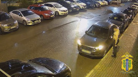 Липецкая полиция задержала подозреваемого в порче автомобилей в микрорайоне «Елецкий»