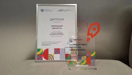 Проект Липецкой области признан лучшим на Всероссийской премии «Мой бизнес»