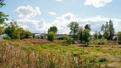 Егерский пруд в районе ЛТЗ намерены возродить