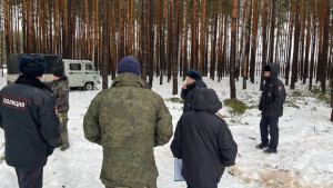 В Задонском лесничестве по горячим следам поймали «чёрного лесоруба»