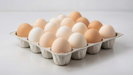 В Липецкой области растет производство яиц