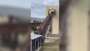 Сезон переработки сахарной свёклы стартовал в Липецкой области