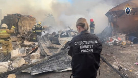 Региональный следком возбудил уголовное дело по факту пожара в СНТ «Речное» в Липецке 