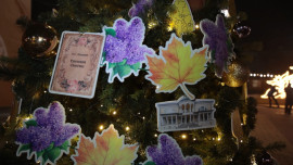 Уникальные ёлки Липецкой земли украсили центр Ельца