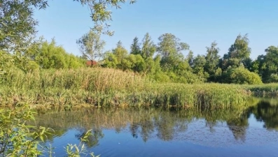 Началась расчистка пруда в селе Новое Дубовое Хлевенского района