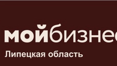 Для малого и среднего предпринимательства проведут видеотрансляцию 