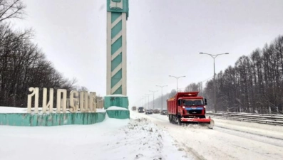 В Липецкой области 29 декабря усилится ветер до 17 м/с