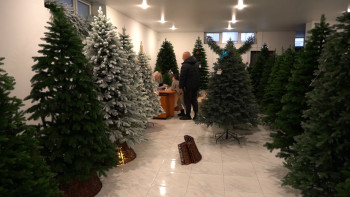 Ценна на искуственные ёлки в Липецке начинается от 6 тысяч рублей