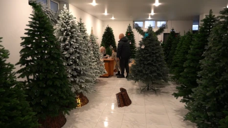 Ценна на искуственные ёлки в Липецке начинается от 6 тысяч рублей