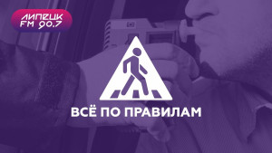 «Все по правилам»: вождение в нетрезвом виде