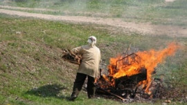 Руководство базы отдыха «Осинки» заплатит штраф за нарушение пожарной безопасности