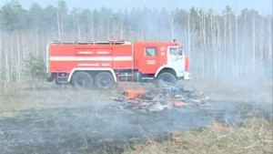 Возле села Фащевка загорелся грузовик