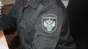 Свыше 32 тыс. тонн кормов экспортировано из Липецкой области