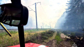 На территории Воронежского биосферного заповедника разгорелся пожар