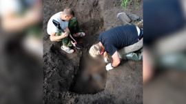 Останки ещё семи жертв Шатиловского концлагеря нашли в Липецкой области