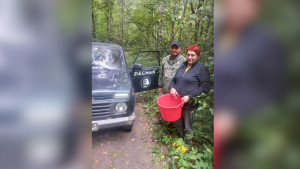 В Липецкой области лесники и спасатели вывели из чащи заблудившуюся женщину
