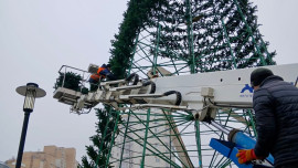 Самая высокая ель Липецка зажжется в микрорайоне Европейский