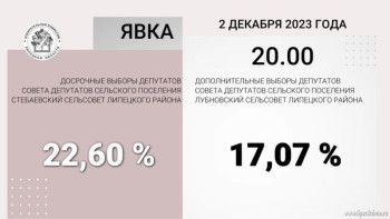 Явка в первый день выборов в Стебаевском поселении выше 22%