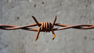 Липчанка предстанет перед судом за организацию сети наркозакладок