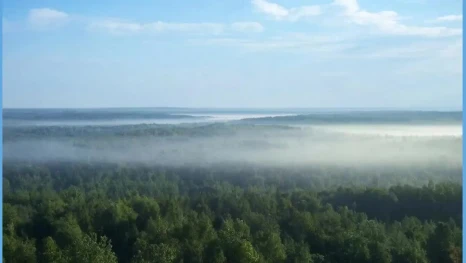 216 млн рублей на защиту экологии направит Липецкая область