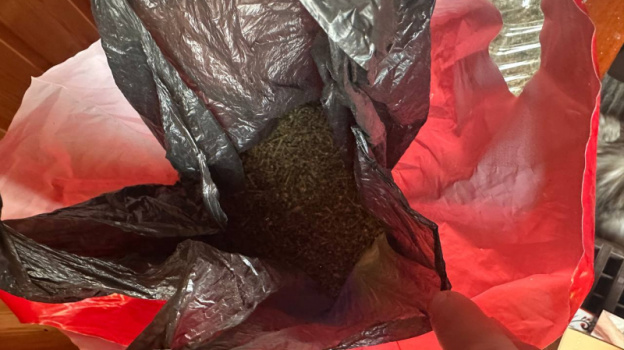 В Липецком округе полицейские нашли и изъяли килограмм марихуаны