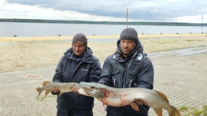 Липчане показали свой гигантский улов на чемпионате по рыболовному спорту