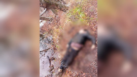 В Липецке напротив бизнес-центра «Парус» спасатели извлекли из воды труп мужчины